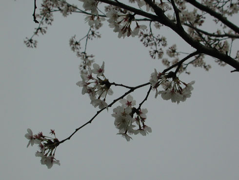 040417_1.jpg
